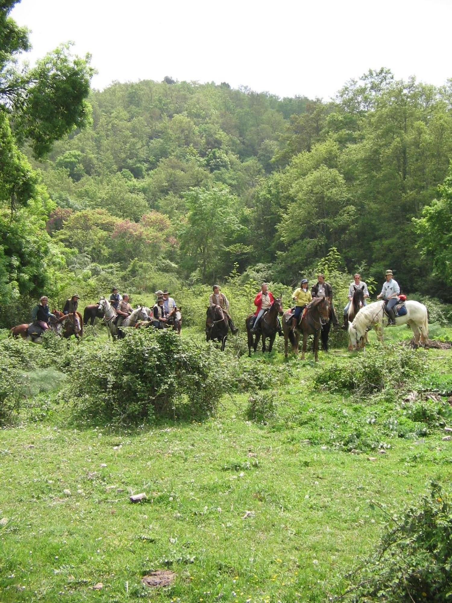 Agriturismo Casale Bonaparte Cellere Zewnętrze zdjęcie