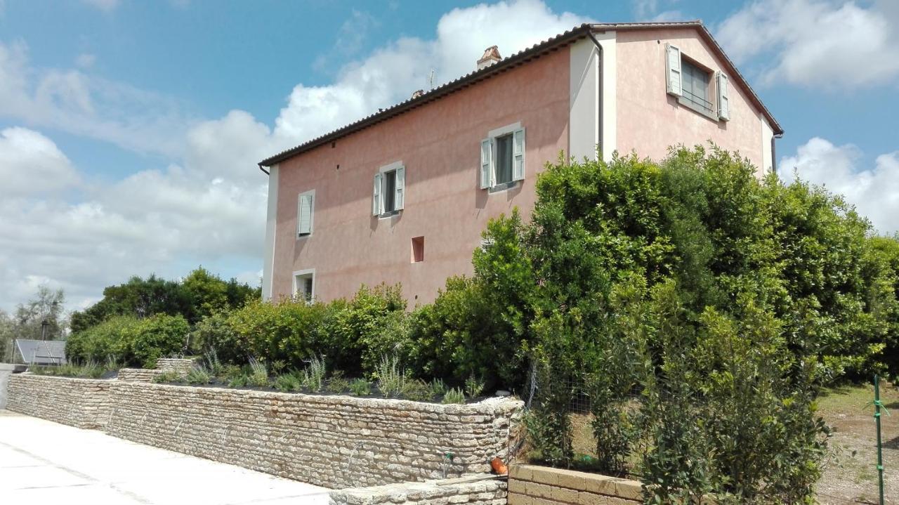 Agriturismo Casale Bonaparte Cellere Zewnętrze zdjęcie